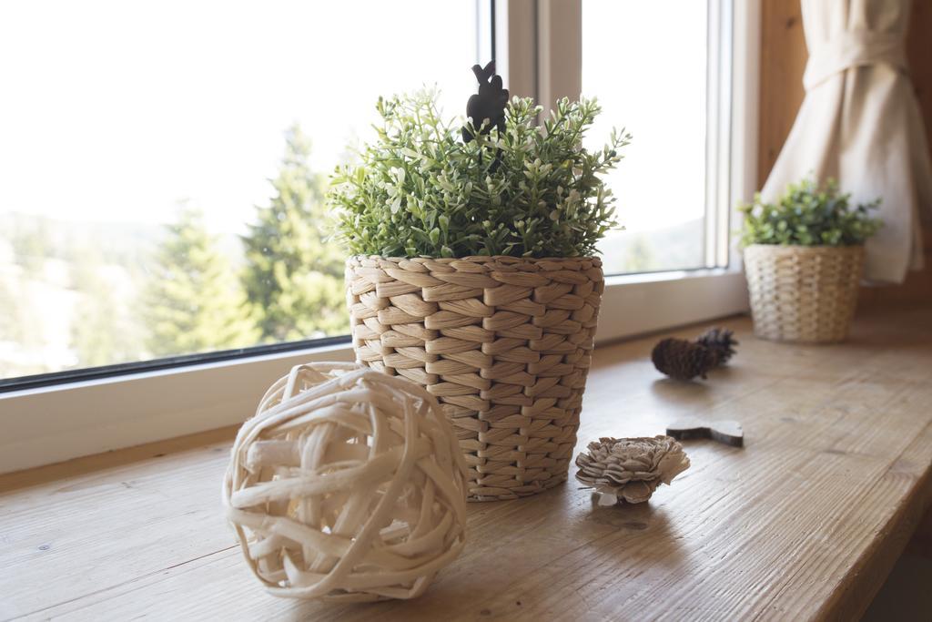 Kuckucksnester Feldberg 펠트베르크 외부 사진